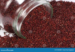 The Ultimate Guide to Ragi Atta